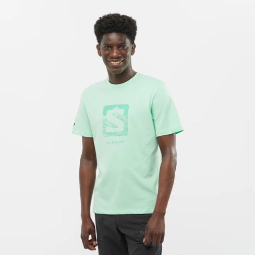 Mint Salomon Outlife Logo Short Sleeve Men's T-Shirts | IE IK1592